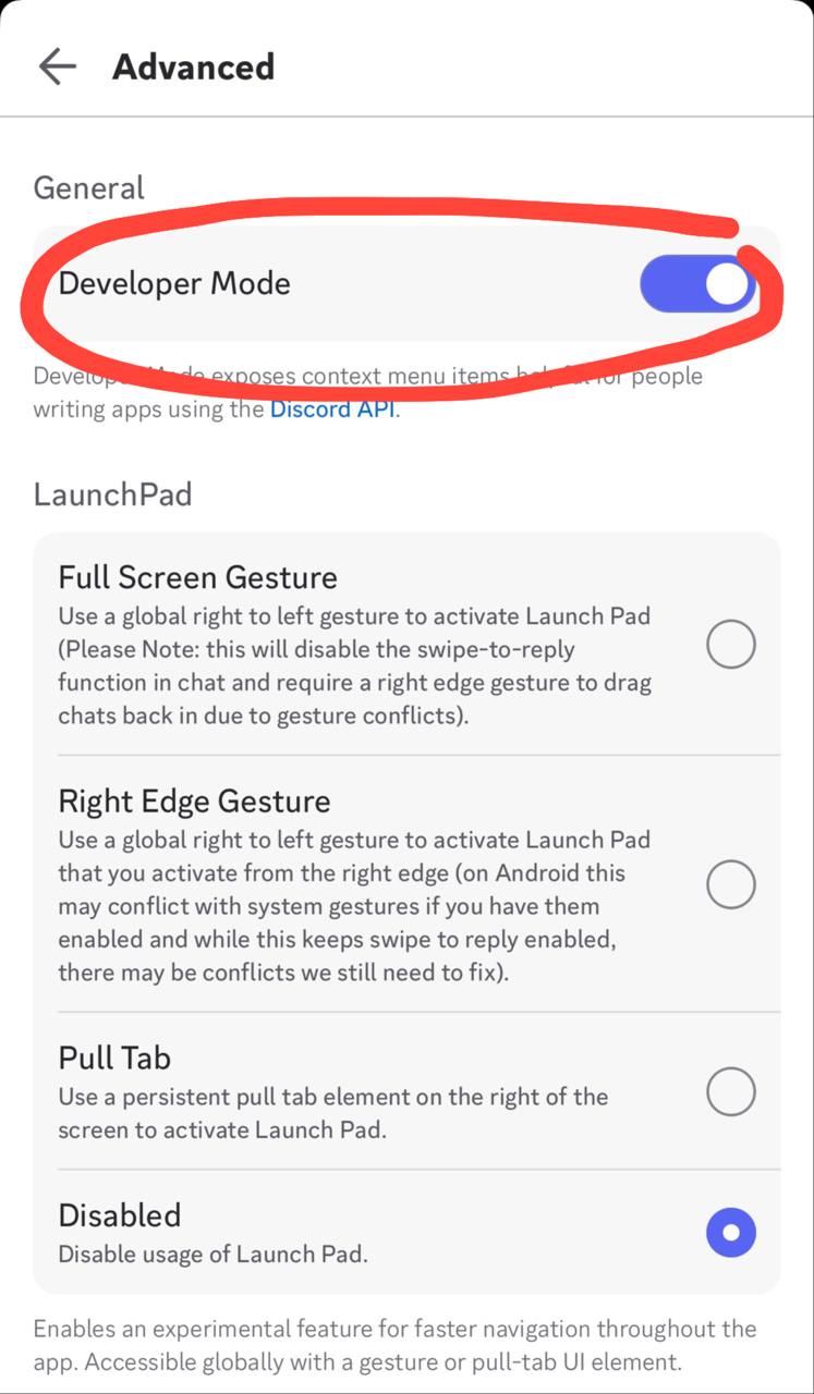 Developer Mode