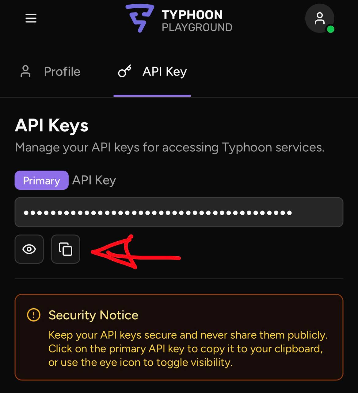 หน้า API Keys Typhoon